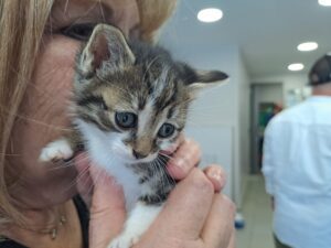 Γιορτή υιοθεσίας ΠΕ.ΦΙ.ΠΟ. ! Στηρίζουμε και αγαπάμε τους φίλους που είναι πάντα δίπλα μας!!