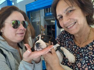 Γιορτή υιοθεσίας ΠΕ.ΦΙ.ΠΟ. ! Στηρίζουμε και αγαπάμε τους φίλους που είναι πάντα δίπλα μας!!