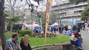 Αδέσποτα Αμαρουσίου: Συγκινητική ανταπόκριση στο Bazaar του ΠΕΦΙΠΟ στην Πλατεία Ευτέρπης