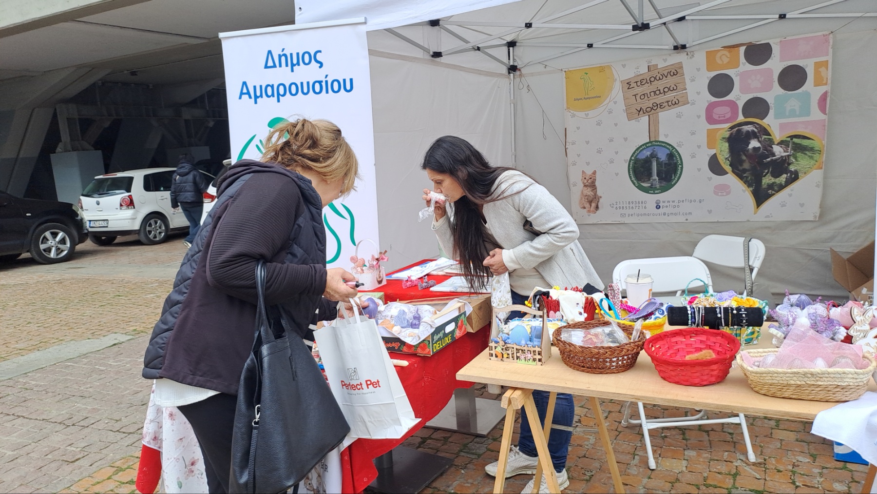 Περιβαλλοντικός, Φιλοζωικός και Πολιτιστικός Σύλλογος Αμαρουσίου Περιβαλλοντικός, Φιλοζωικός και Πολιτιστικός Σύλλογος Αμαρουσίου